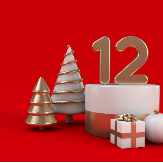 The 12 Gifts of Insurance Christmas: Protecting What Matters Most