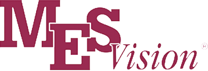 Learn More About RealCare Insurance Marketing and MES Vision MES Vision Logo