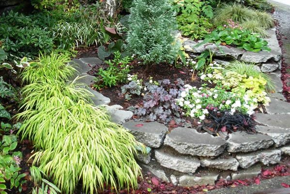 Gardening In Bloom: Tips To Beautify Your Home With A Garden