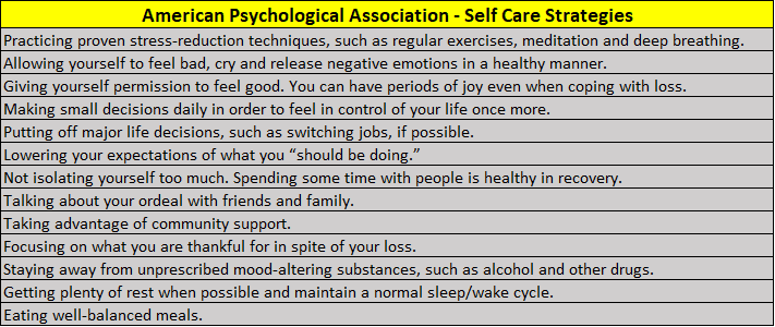 APA Self Care Strategies