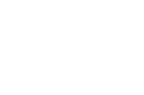 Limitless Insurance Solutions Logo